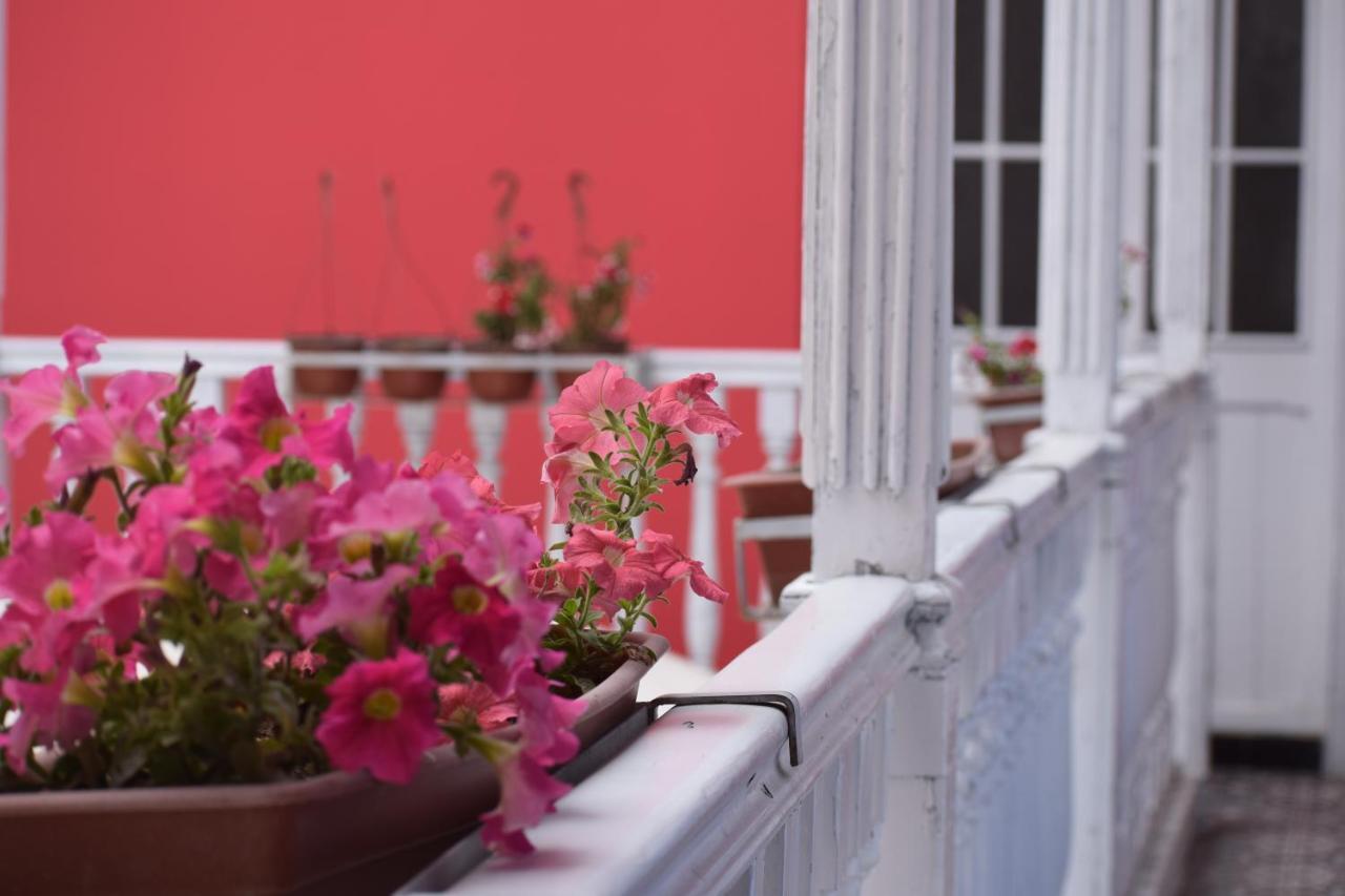 Mango Hostel B&B Arequipa Luaran gambar